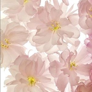 Meet your Posher, Jane